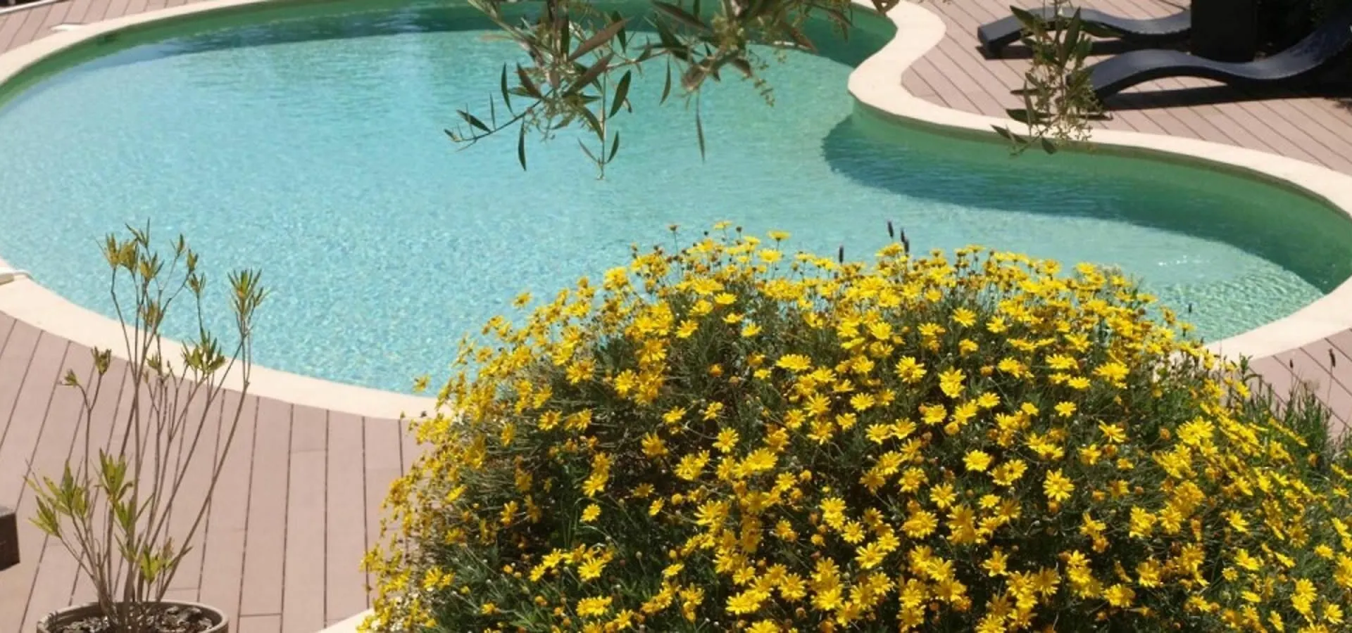 Studio In Cagnes-Sur-Mer, With Pool Access, Enclosed Garden And Wifi - France